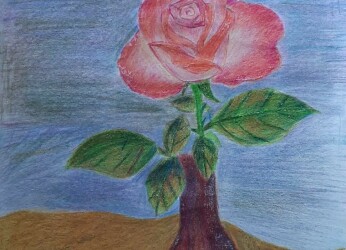 Alaa Albasri Submission 3
