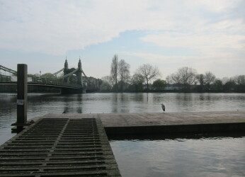 Karen Hearn PHOTO Lockdown heron contemplating Hammersmith Bridge 2020