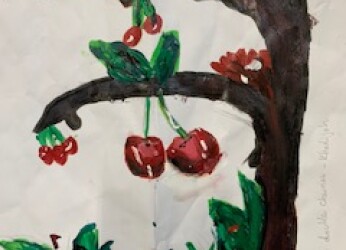 Khadijah cherry tree