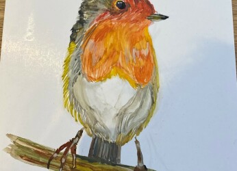 Winter Robin by Buzzy Simon Evans Submission v2